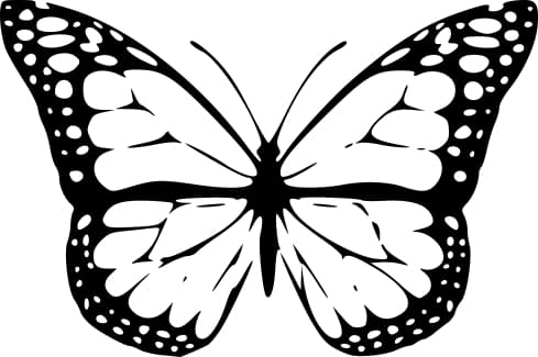 Metamorphosis thumbnail 1