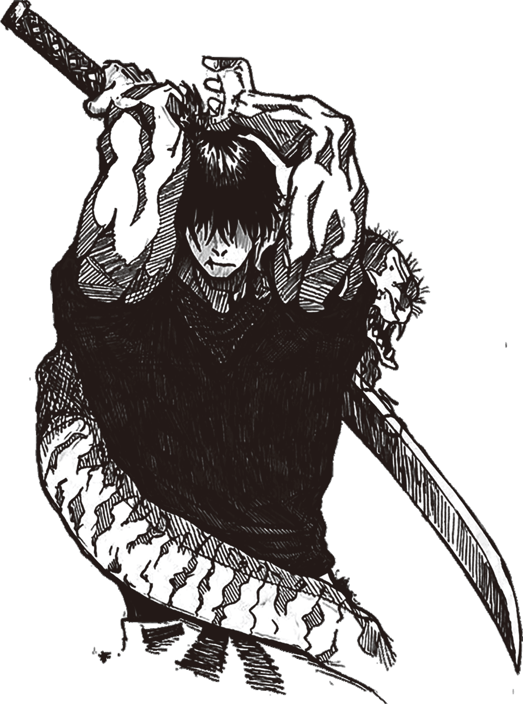 Toji Unleashed