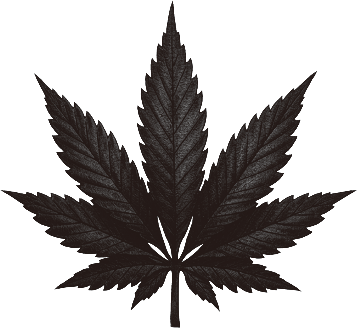 Forbidden Leaf