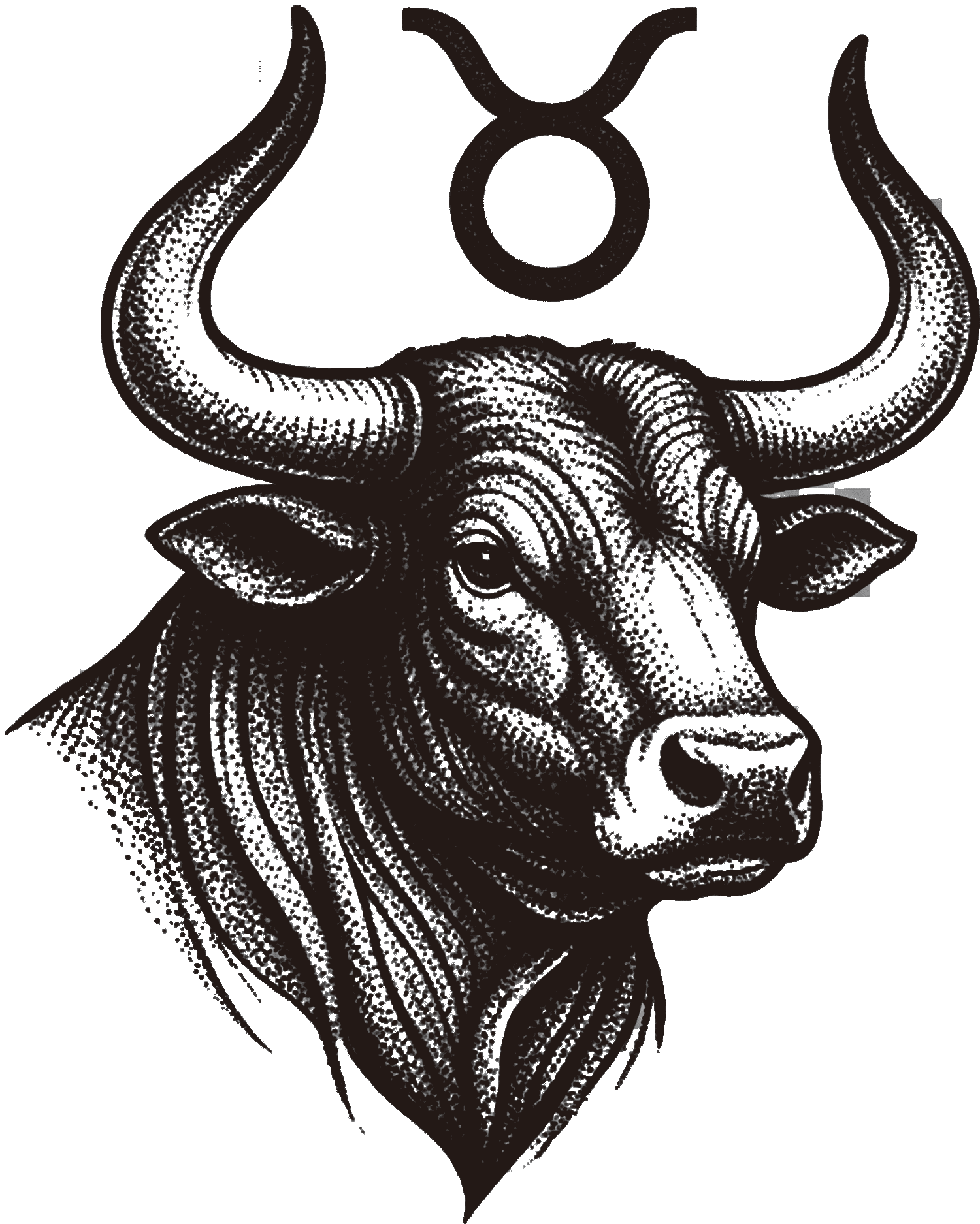 Taurus - The Bull