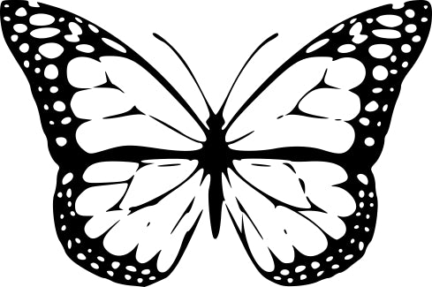 Metamorphosis product image