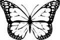 Metamorphosis product image