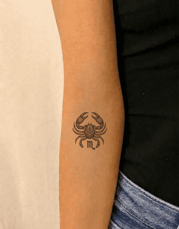 The Scorpion