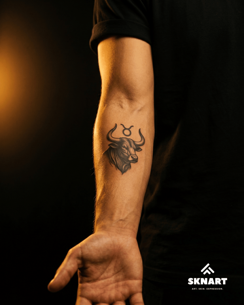 Taurus - The Bull